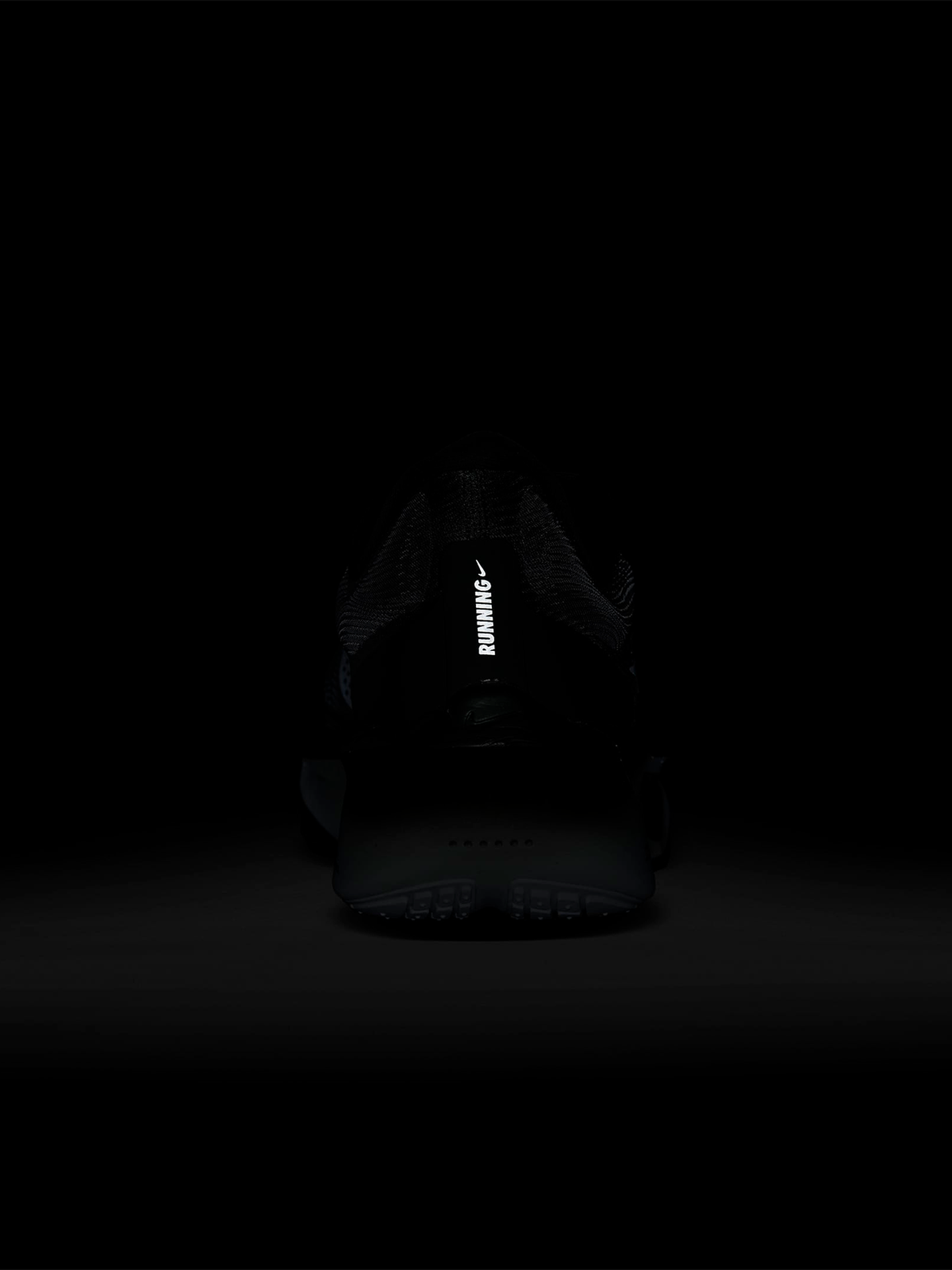 Zoom Fly 6