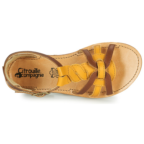 Citrouille et Compagnie - GITANOLO - Jaune / camel