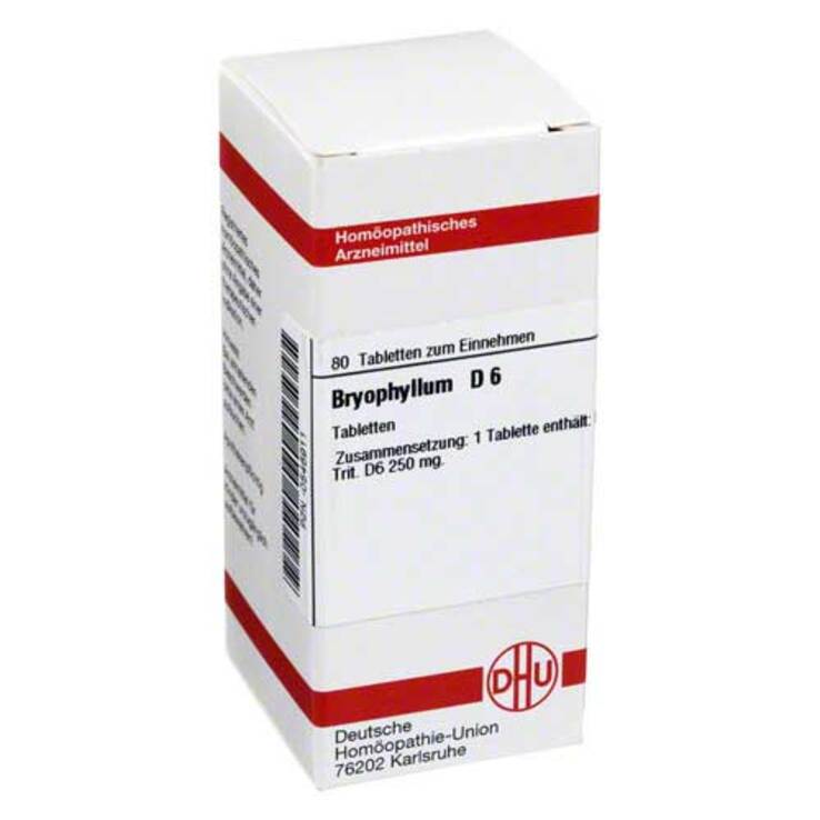 DHU Bryophyllum D 6 Tabletten, 80 St