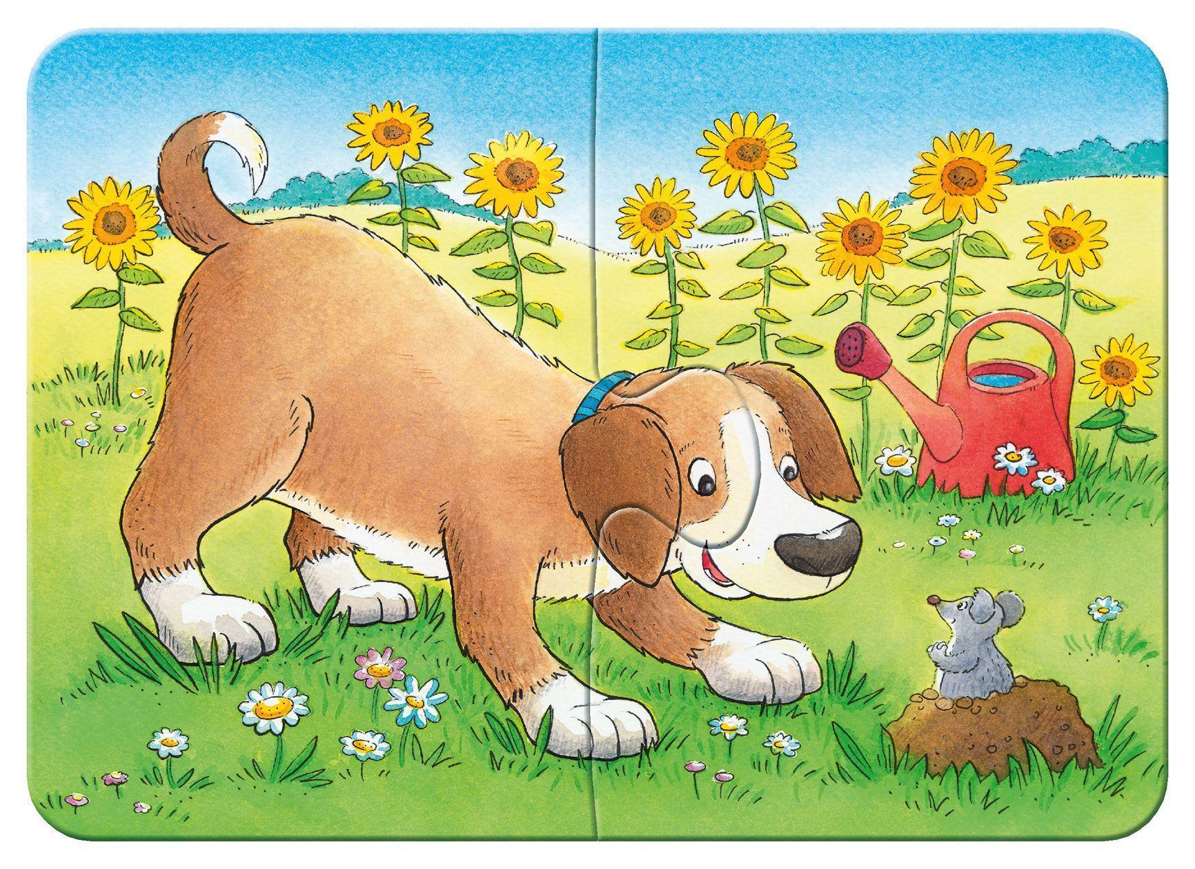 My first puzzles – Niedliche Haustiere 2/4/6/8-teilig