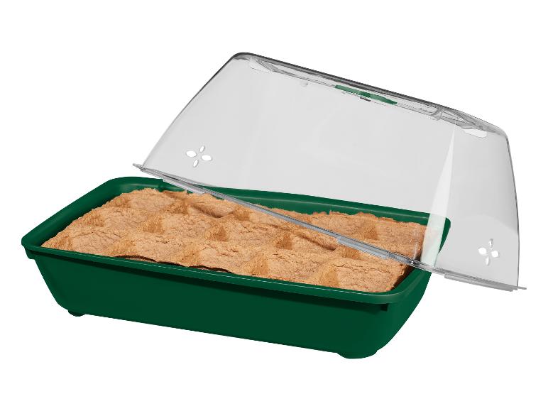 Mini-kas met biologisch zaad