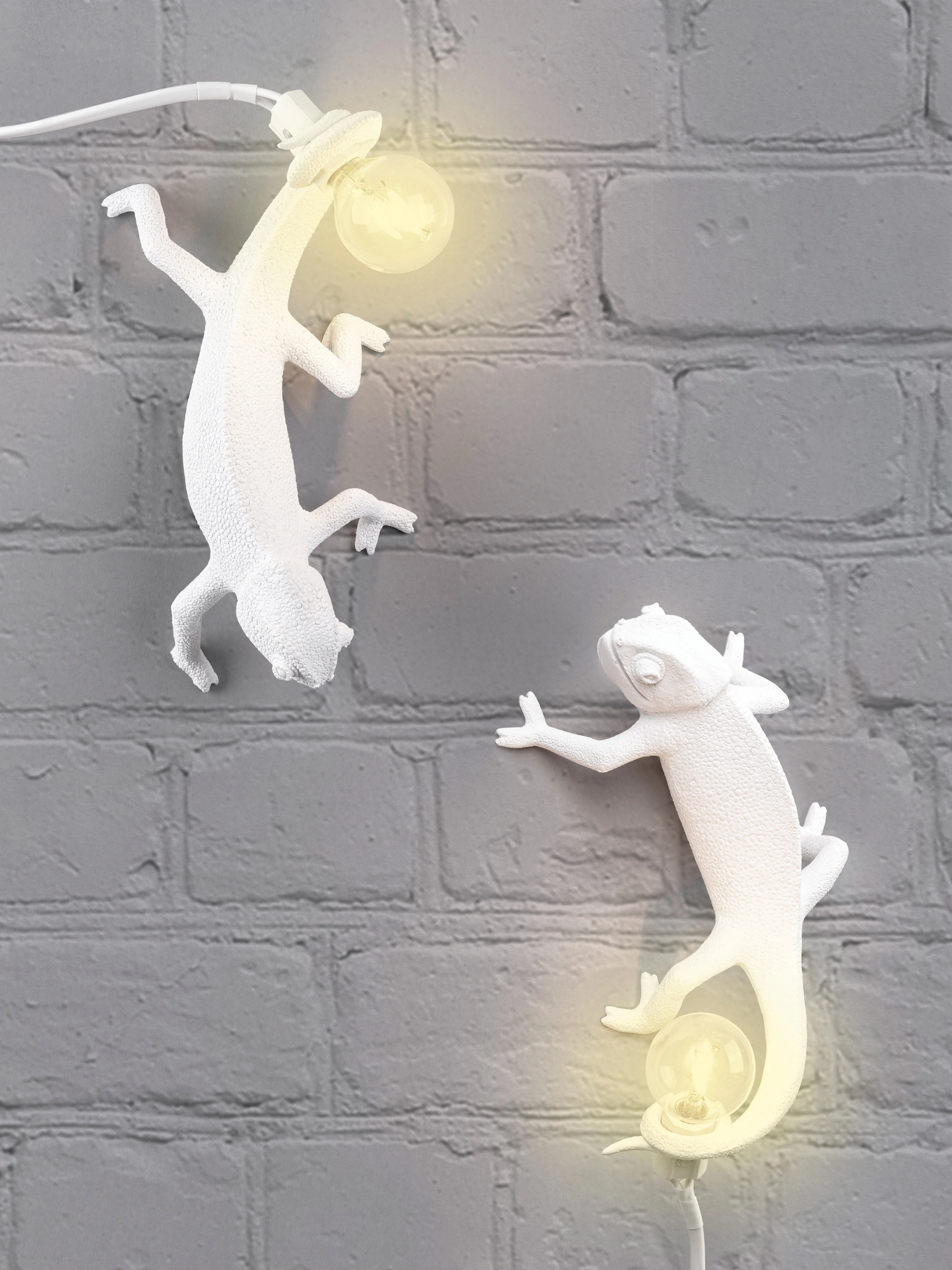 CHAMELEON GOING DOWN - Lampe de table | Blanc
