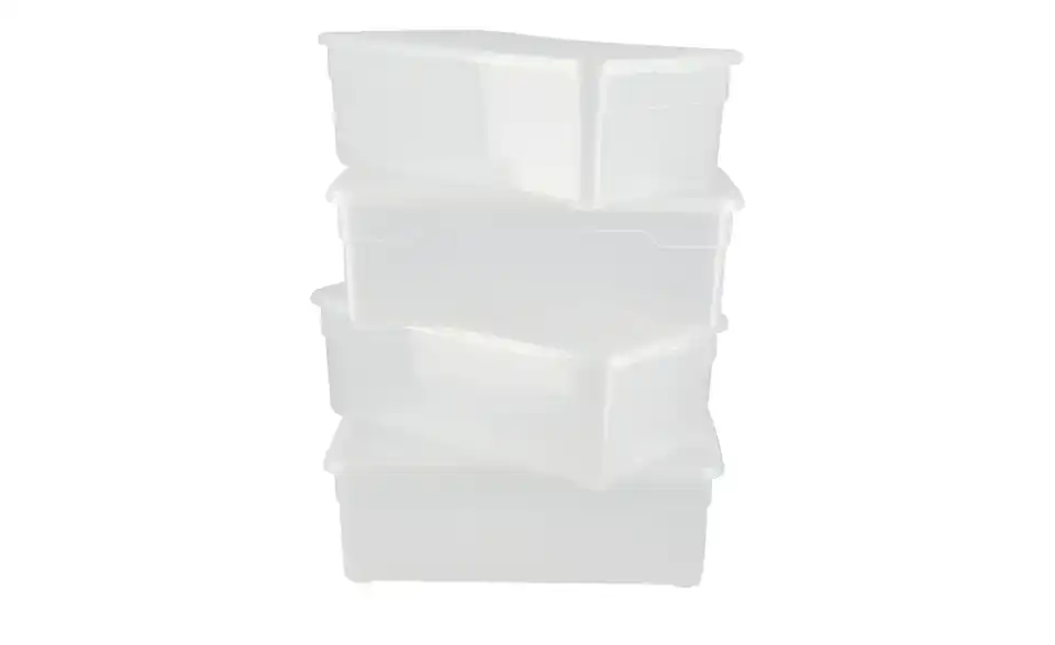 Rotho Aufbewahrungsbox, 4er Set