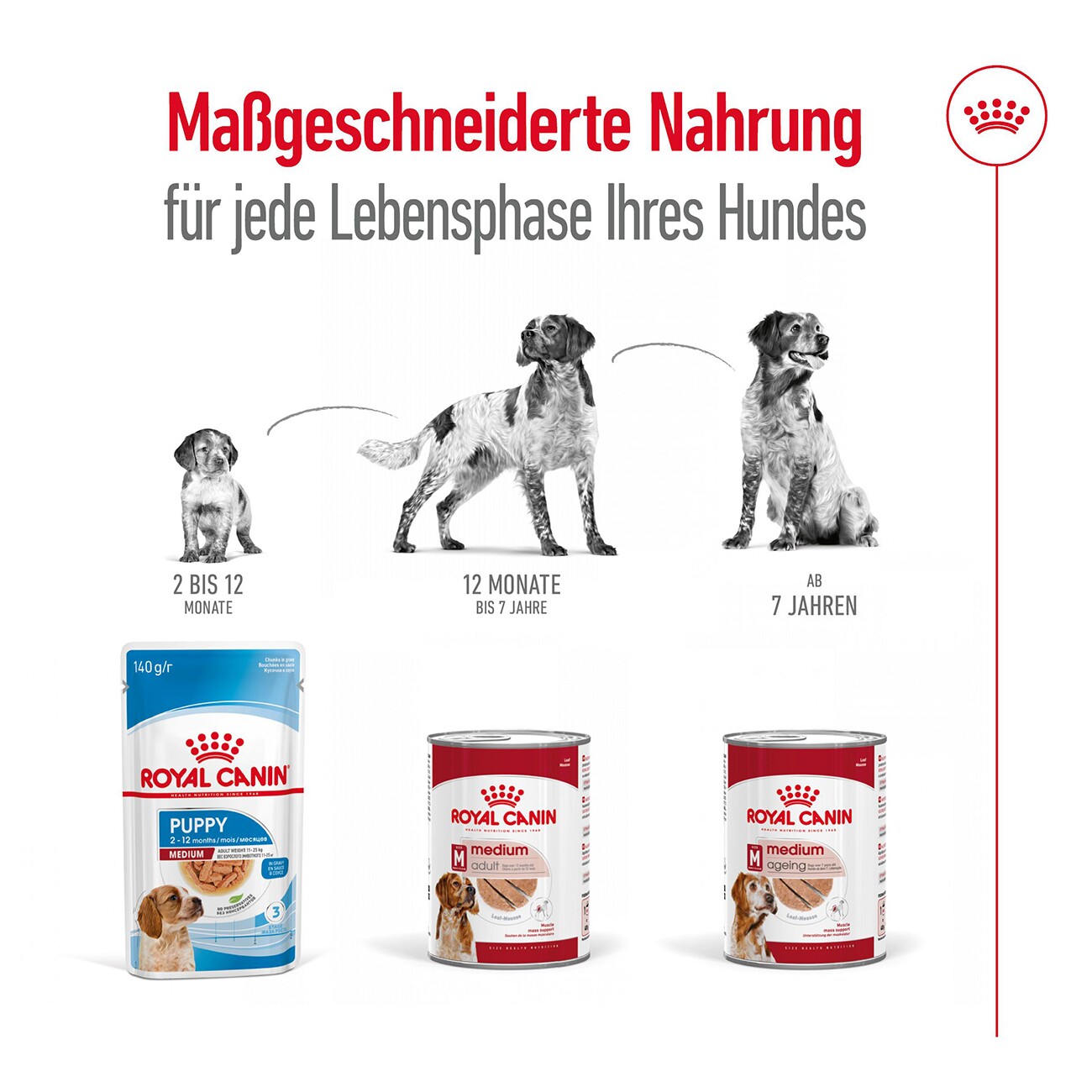 ROYAL CANIN Medium Adult Mousse 12x410 g
