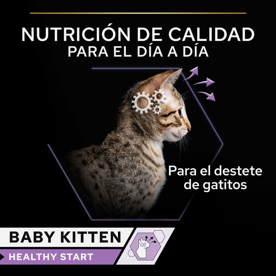 Mousse Pro Plan para Gatinho Bebê com Sabor de Frango