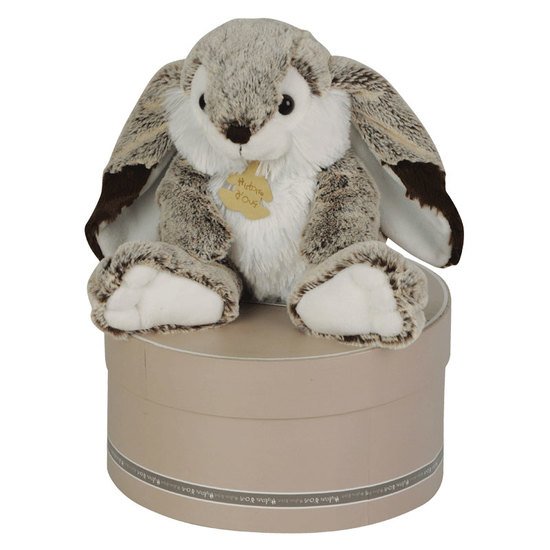Zanimoos peluche   Marius        de               Histoire d'ours