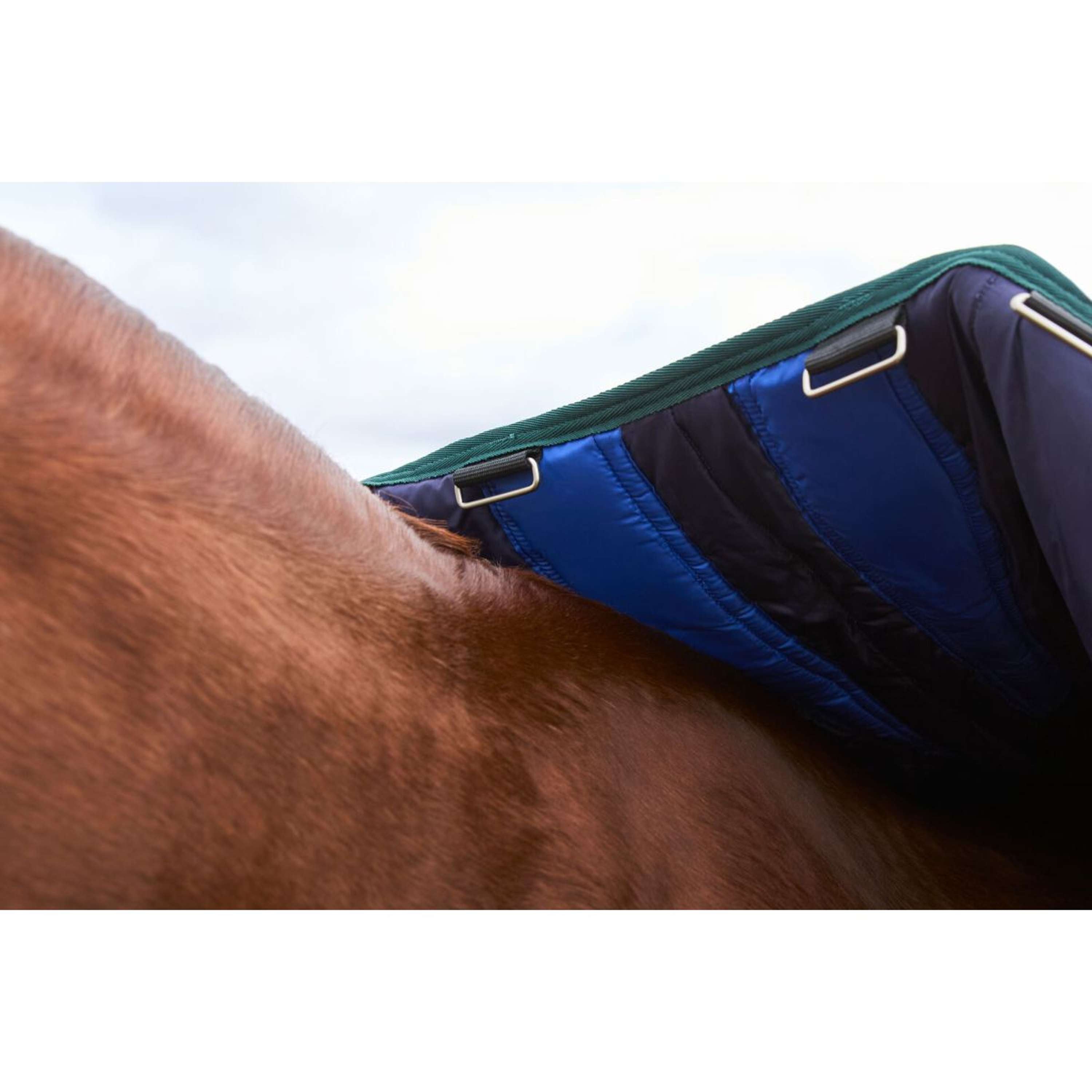 WeatherBeeta ComFiTec Plus Dynamic Turnout 100g Navy/Forest Green