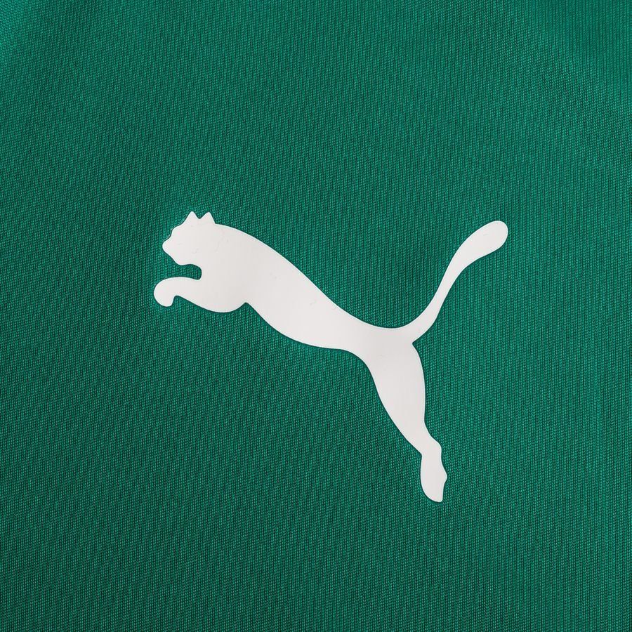 PUMA T-shirt d'Entraînement teamGOAL 23 - Vert/Vert