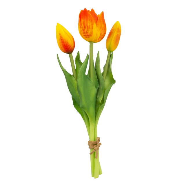 Set de 3 petites tulipes fermées - Tulipes