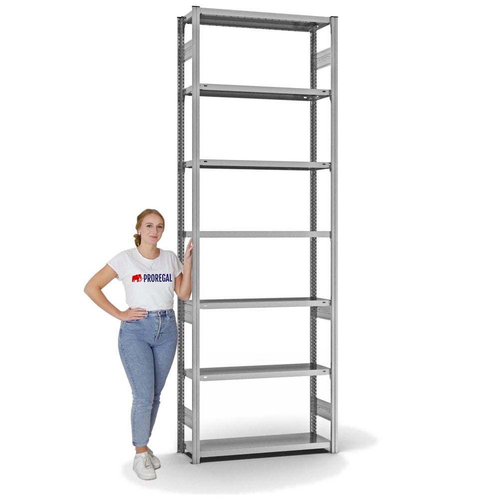 PROREGAL Stellingkast, insteeksysteem, T-profiel, lichtgewicht, basiskast, hxbxd 300 x 100 x 30 cm, 7 legborden, legborddraagvermogen 150 kg, aan beide zijden te gebruiken, verzinkt