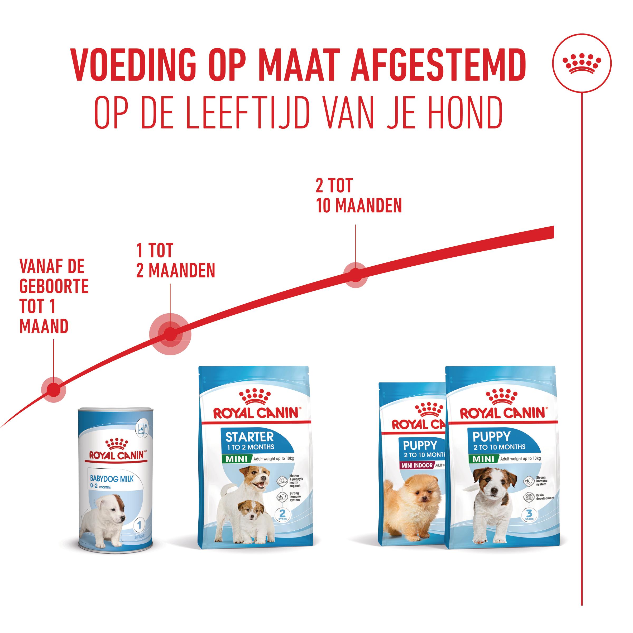 Royal Canin Mini Starter Mother & Babydog - Hondenvoer