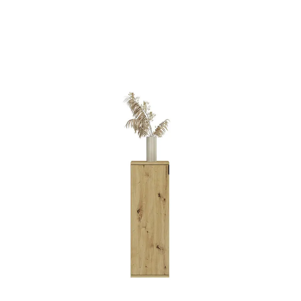 Hioshop ProjektX kommode 1 deur eiken decor