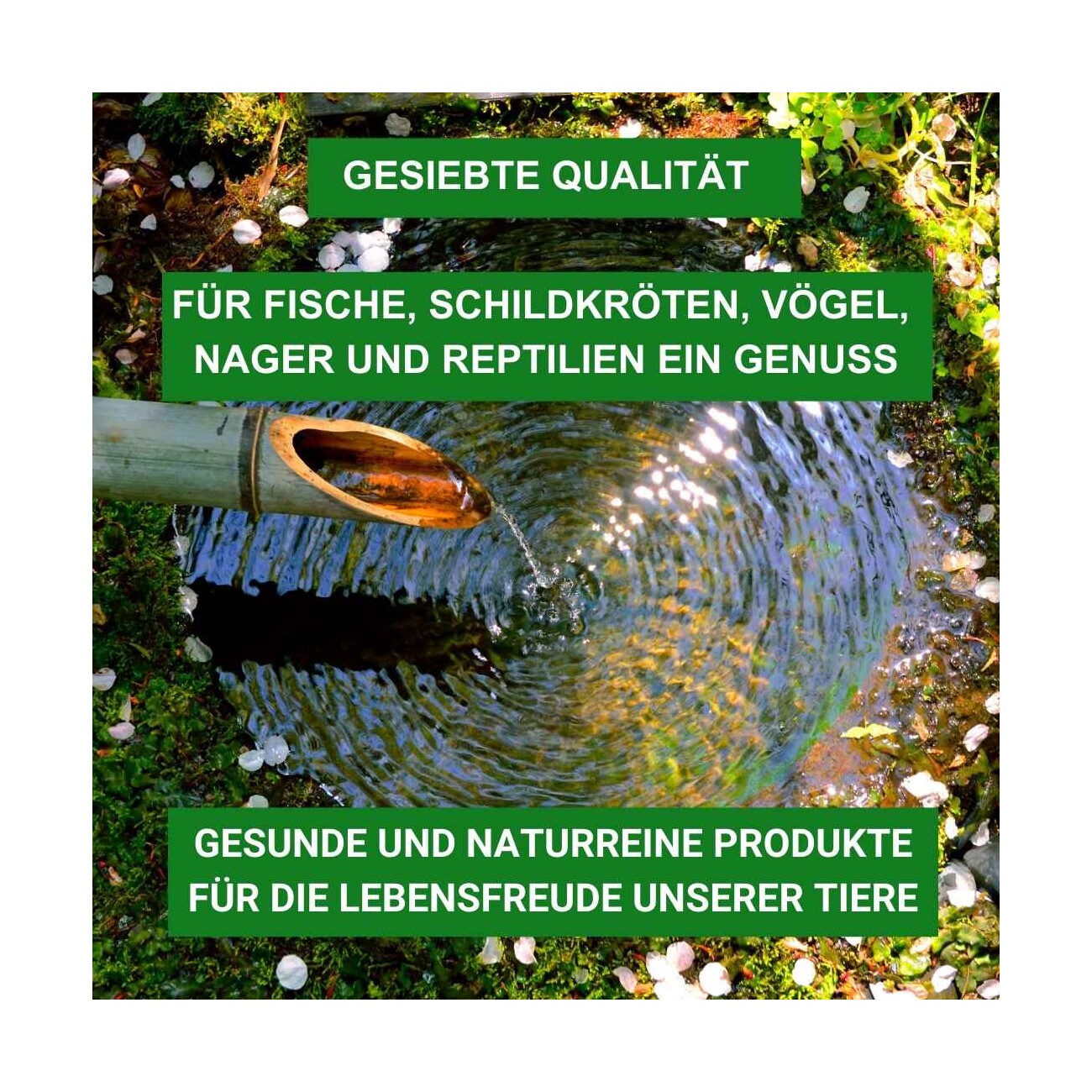 Insektus Mehr Sorten Mix 500 g