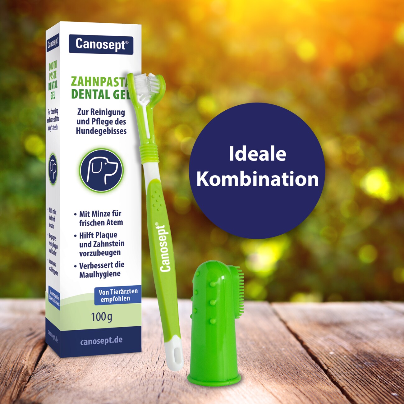 Canosept Zahnpflege Dental Gel für Hunde 100 g