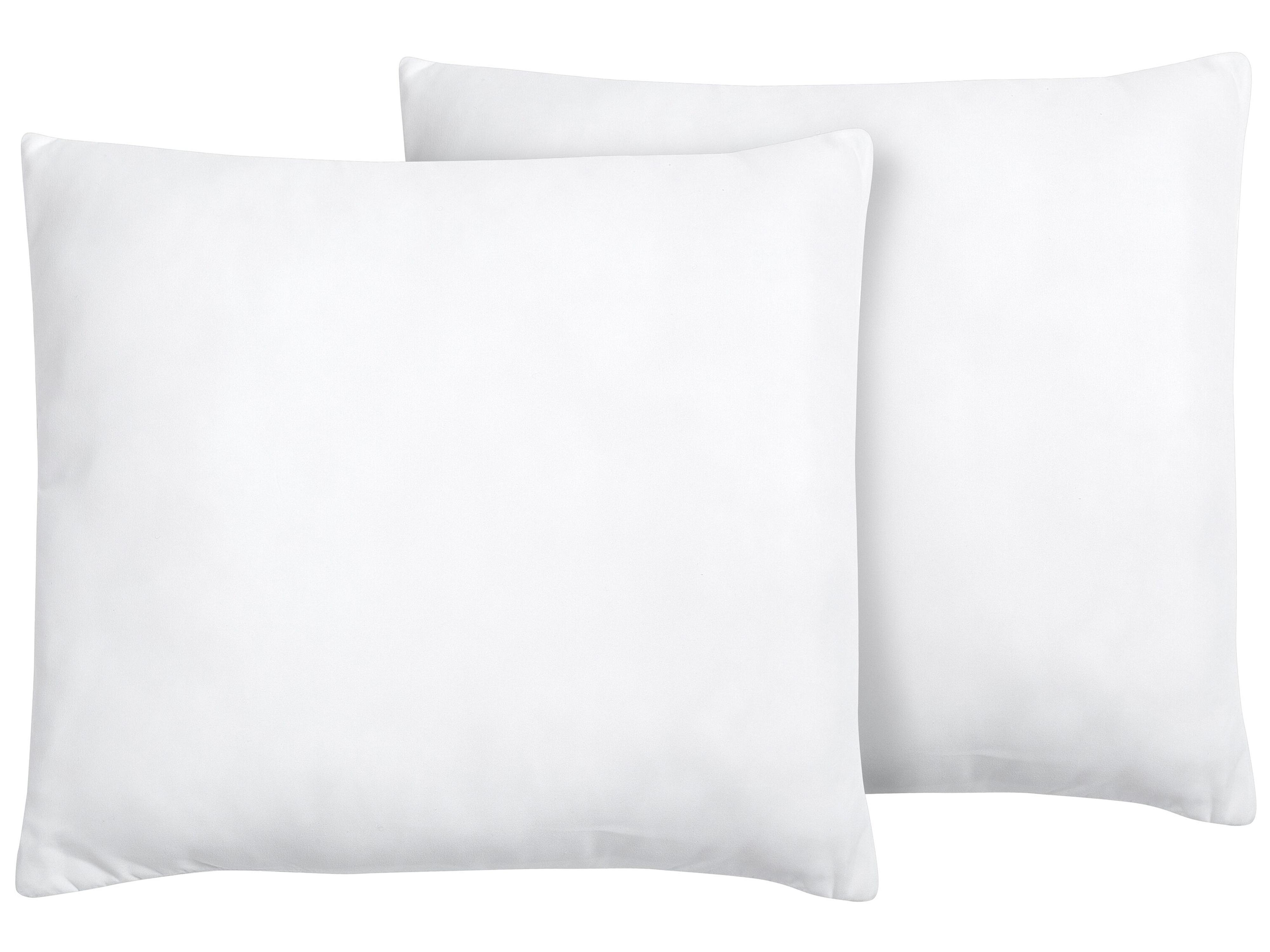 Set van 2 kussens ERRIGAL Laag Microvezel 80 x 80 cm Wit