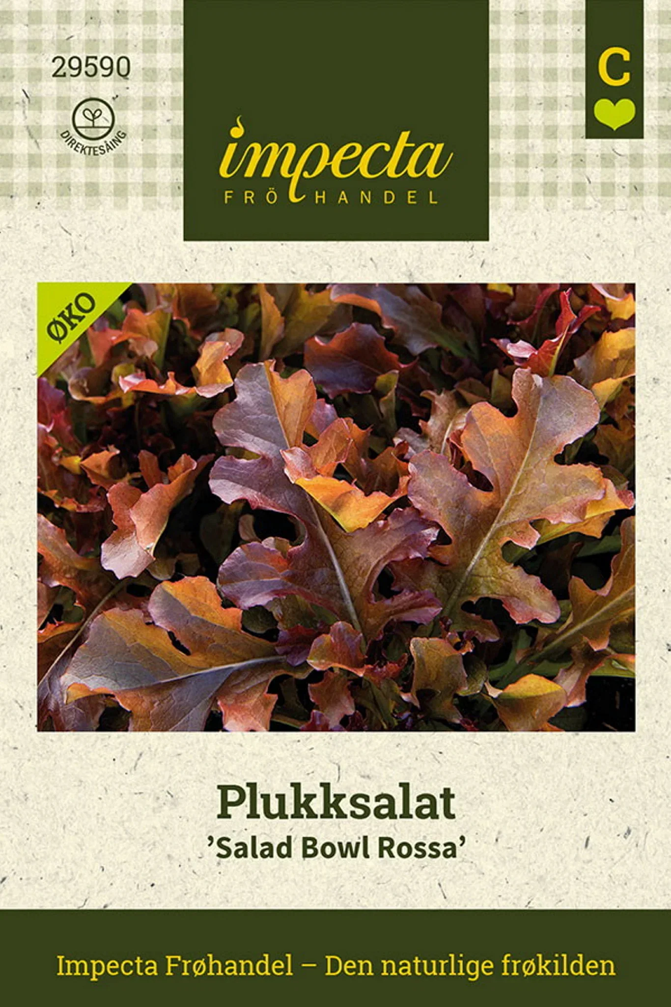 Lactuca sativa 'Salad Bowl Rossa' Plukksalat 'Salad Bowl Rossa'
