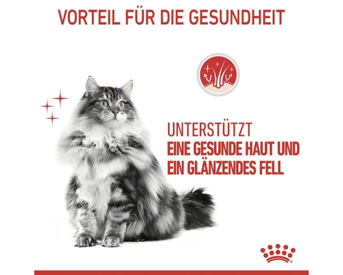 Royal Canin Hair & Skin natvoer voor katten in gelei, ter ondersteuning van een gezonde huid en een glanzende vacht, in gelei, 85 g