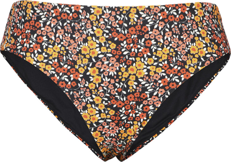 Firefly Fiji Brief Bikiniunderdel Sort