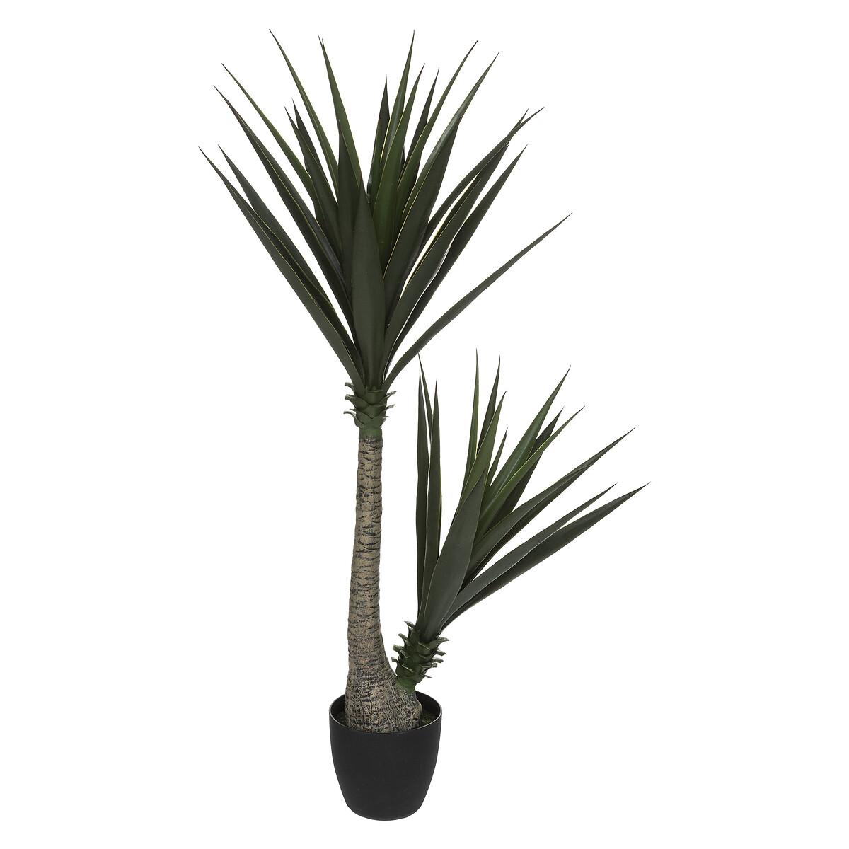 YUCCA H.130CM