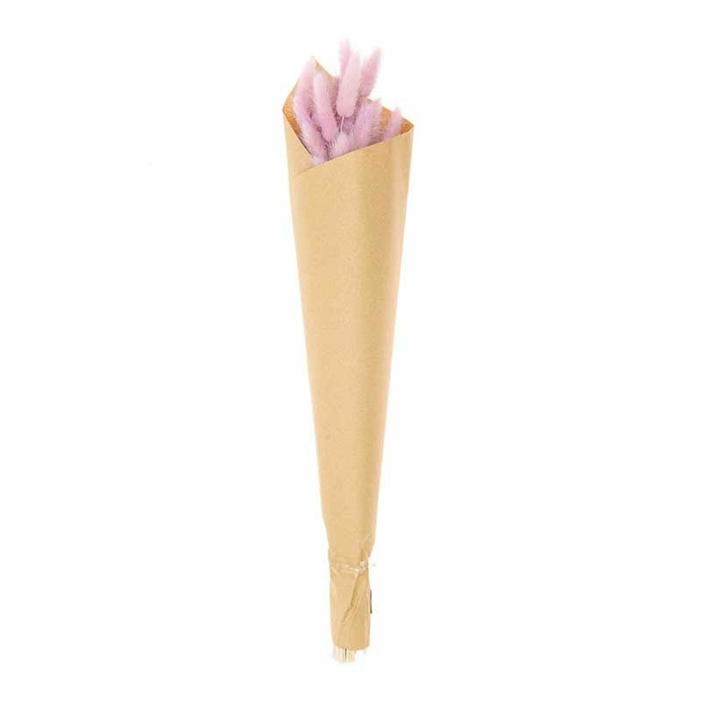 Lagurus séchés lilas - 45 cm