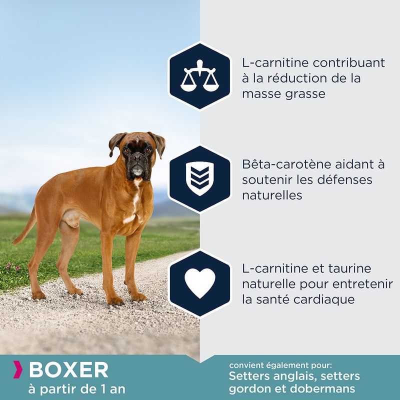 Eukanuba Adult Breed Specific Boxer à prix discount sur bitiba.fr