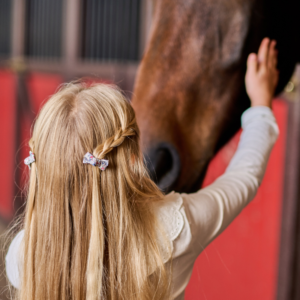 Barrettes Clic-Clac Petits Noeuds Serenade Rouge Gris