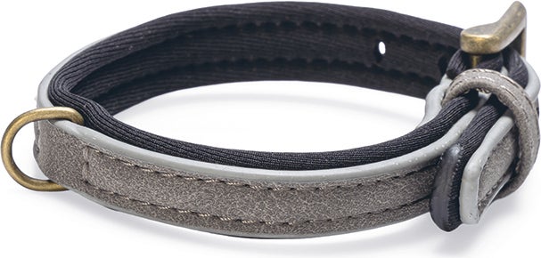 Beeztees hondenhalsband Balacron Ax grijs 21-26 x 1 cm