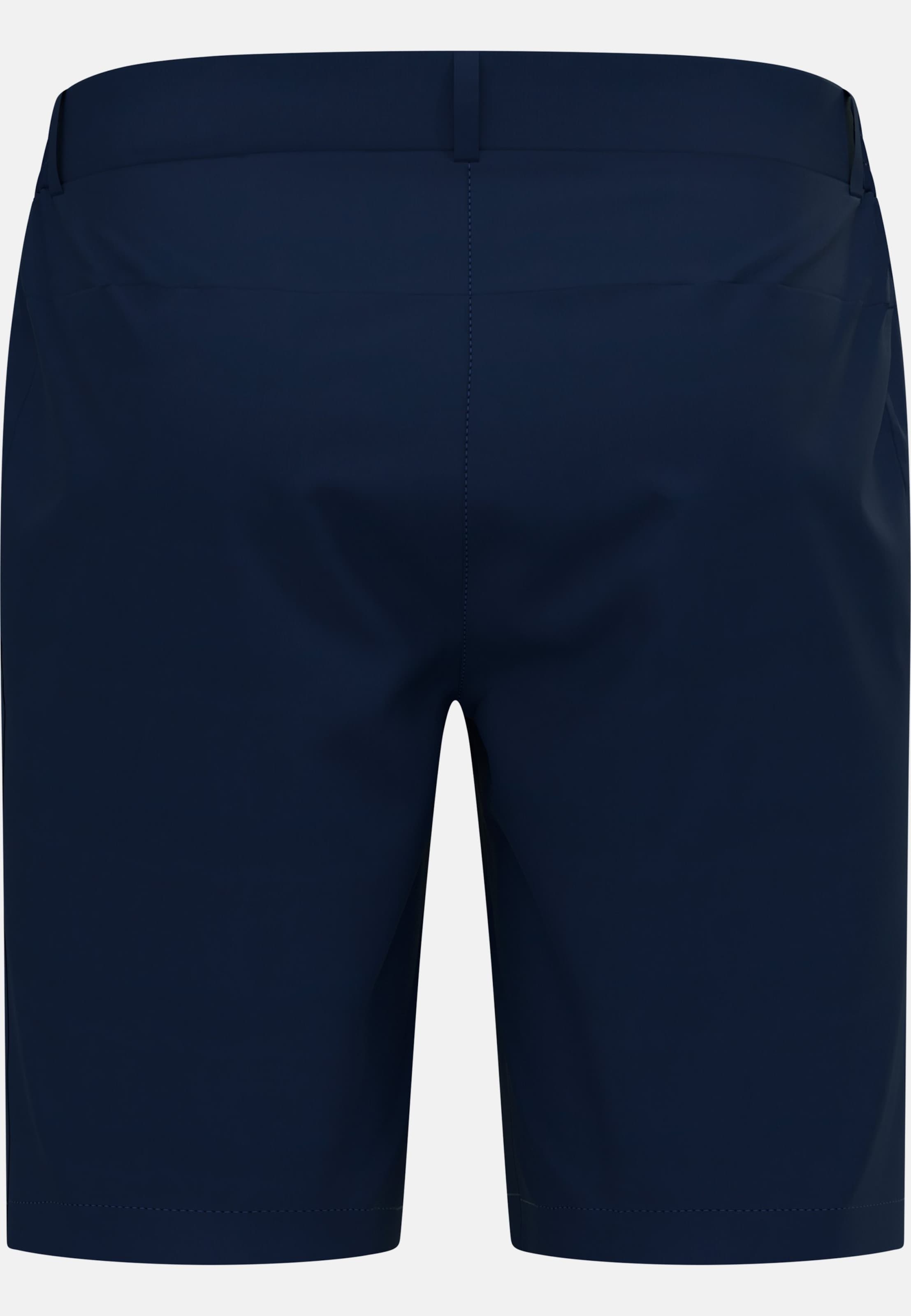 Ascent Light Wandershorts in medieval blue