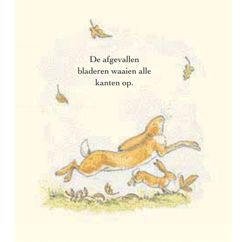 Uitgeverij lemniscaat raad eens hoeveel ik van je hou - een heel jaar lang