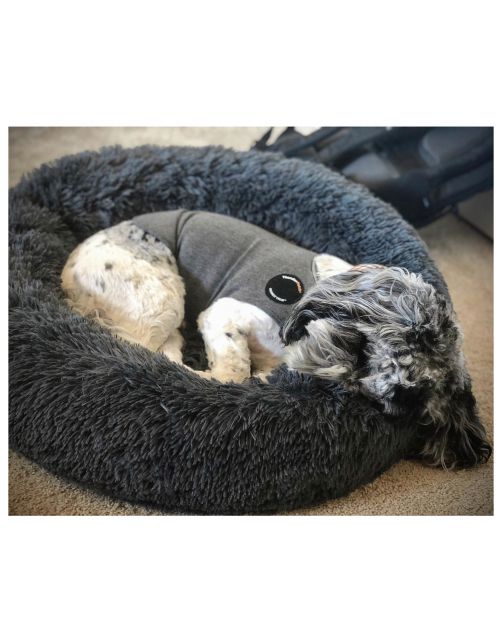 Thundershirt Ontspannend Vest Voor Gestreste Honden Grijs - Direct rustgevend