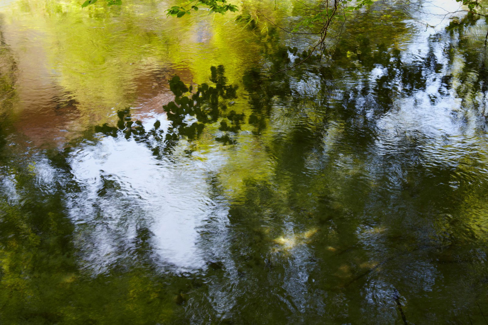 Enchanted Waters VIII by Juraj Lipscher - Limited Edition. Edition of: 100. Signed.