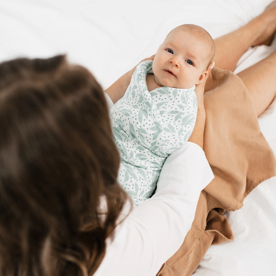 aden + anais™ essentials Baumwoll-Musselin-Pucktuch 4er Pack damsel