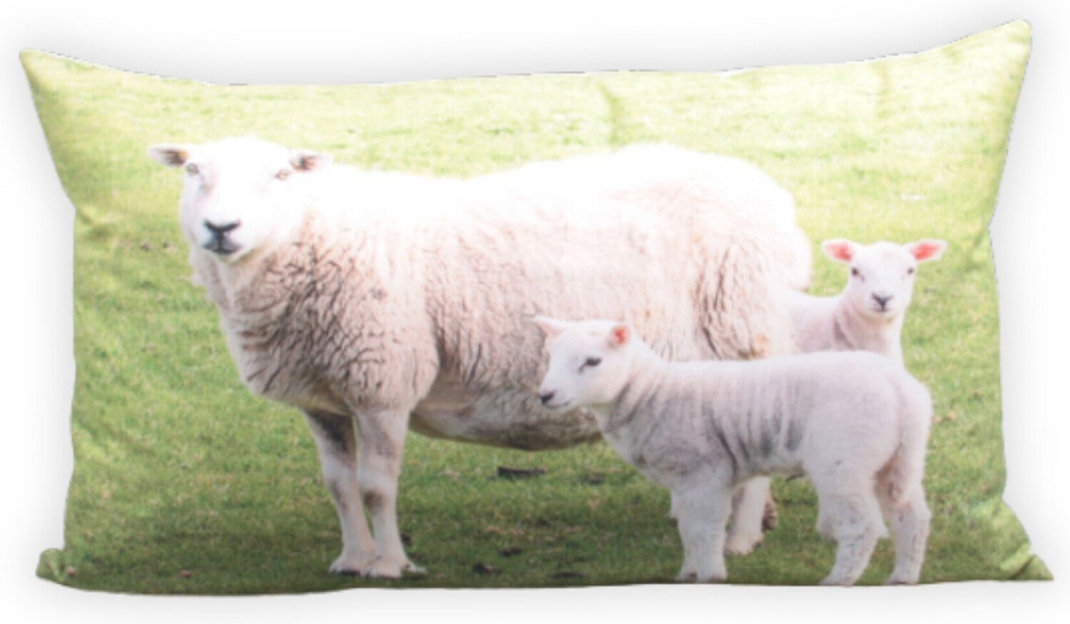 Farmwood Animals sierkussen schapen multi 30 x 50 x 2 cm