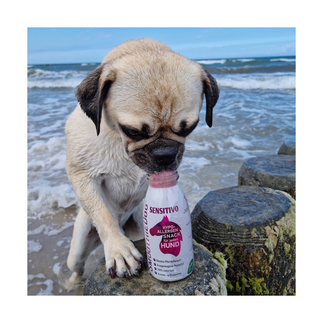 SmoothieDog Sensitivo 3x 250 ml + Immunio 3x 250 ml