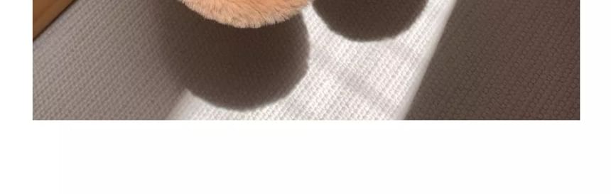 Honkizz - Capybara Fluffy Huispantoffels
