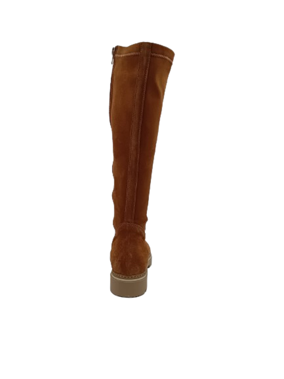 DL Sport 6379 Camel (vers 02)