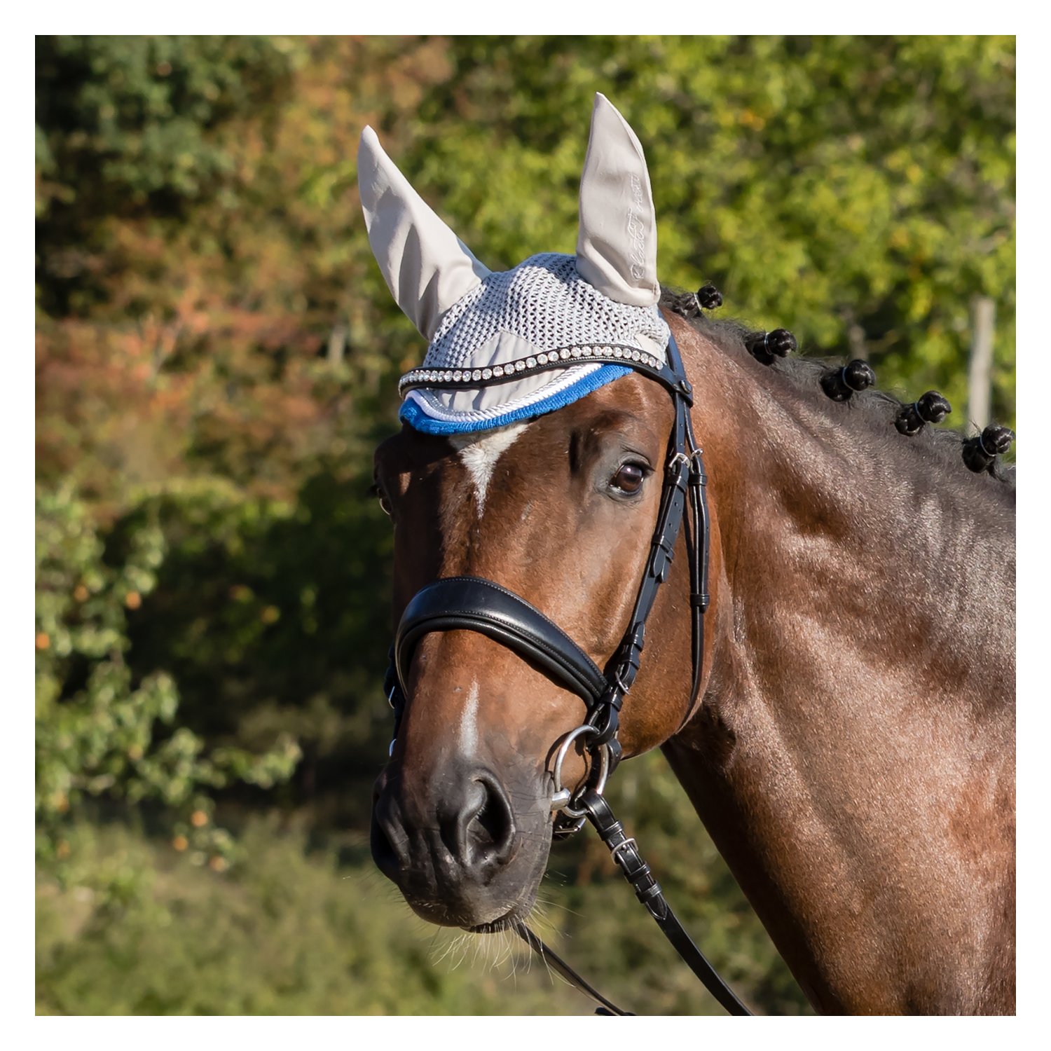 black forest Fliegenhaube Classic  - grey - WB