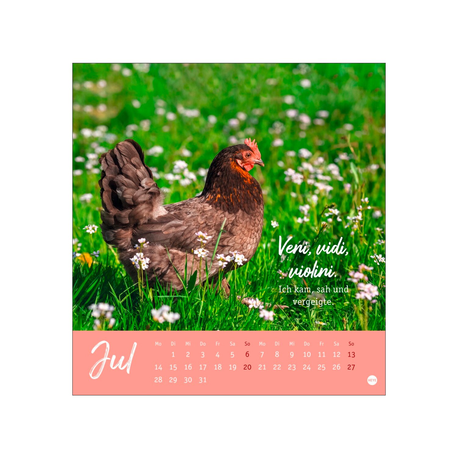 Postkartenkalender Hühner 2025 - Ach, du verrücktes Huhn  - 2025