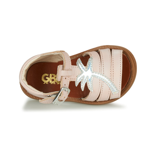 GBB - ARAGA - Rose