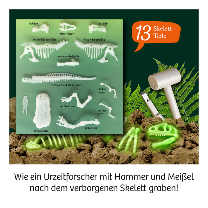 Nachtleuchtender T-REX - Mitbring-Experimente