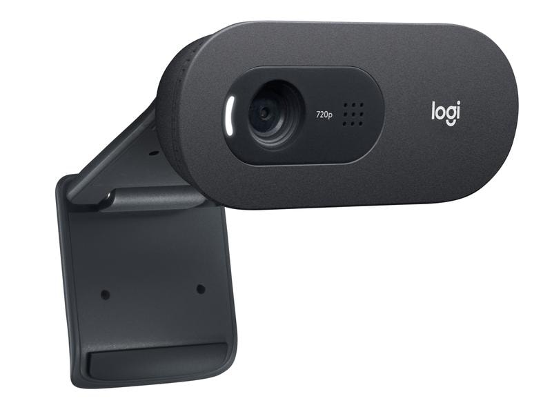 Logitech Webcam C505e HD Bulk HD-Webkamera mit Mikrofon mit grosser Reichweite