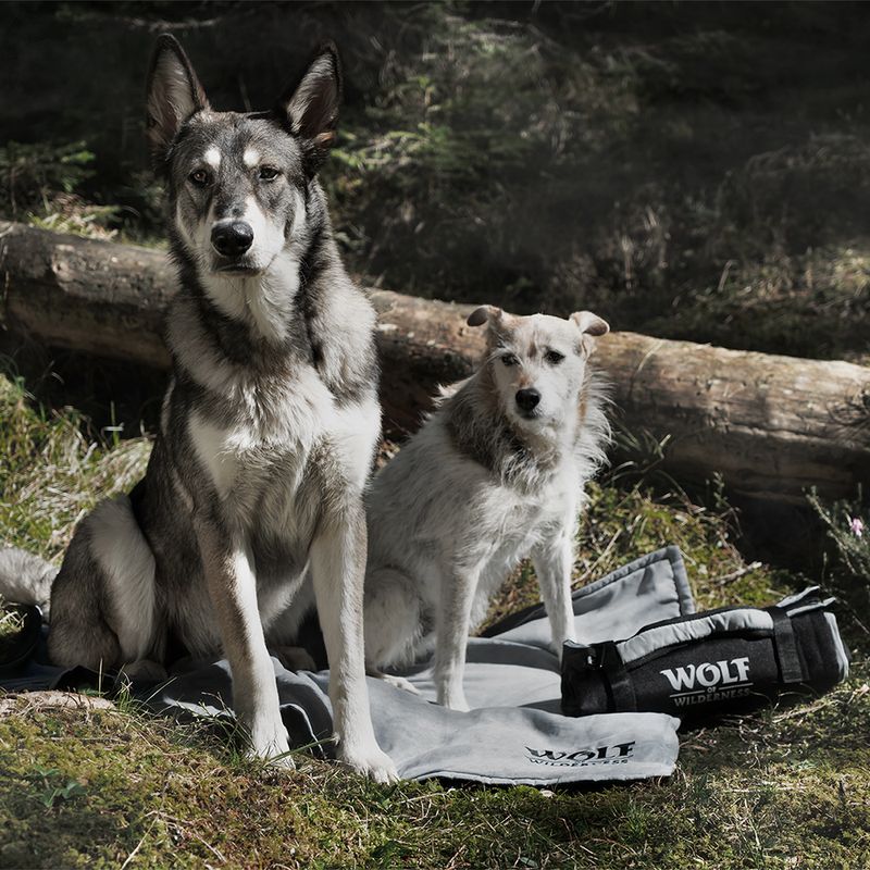 Couverture de voyage Wolf of Wilderness