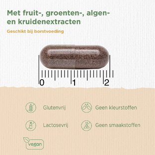 Dagravit Natural Mama Energie Multivitaminen Capsules 60VCP