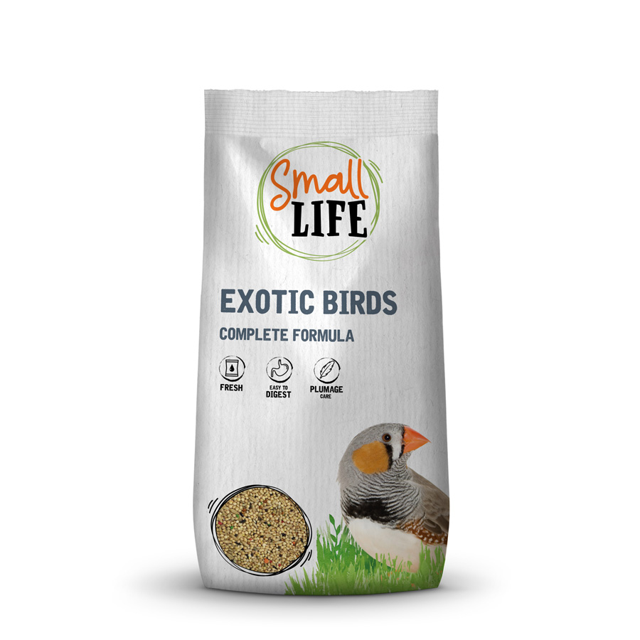 Pequenos alimentos para aves exóticas
