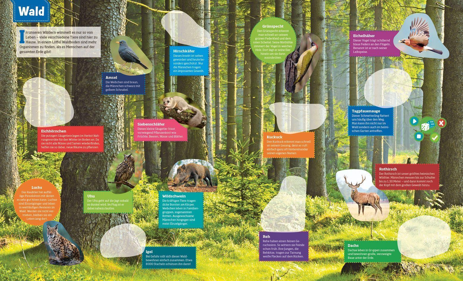 Was ist was Stickeratlas: Tiere aus aller Welt