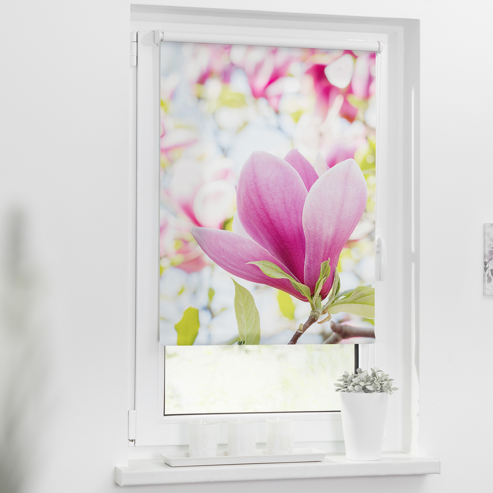LICHTBLICK Rollo Klemmfix MAGNOLIE - rosa - 45x150 cm