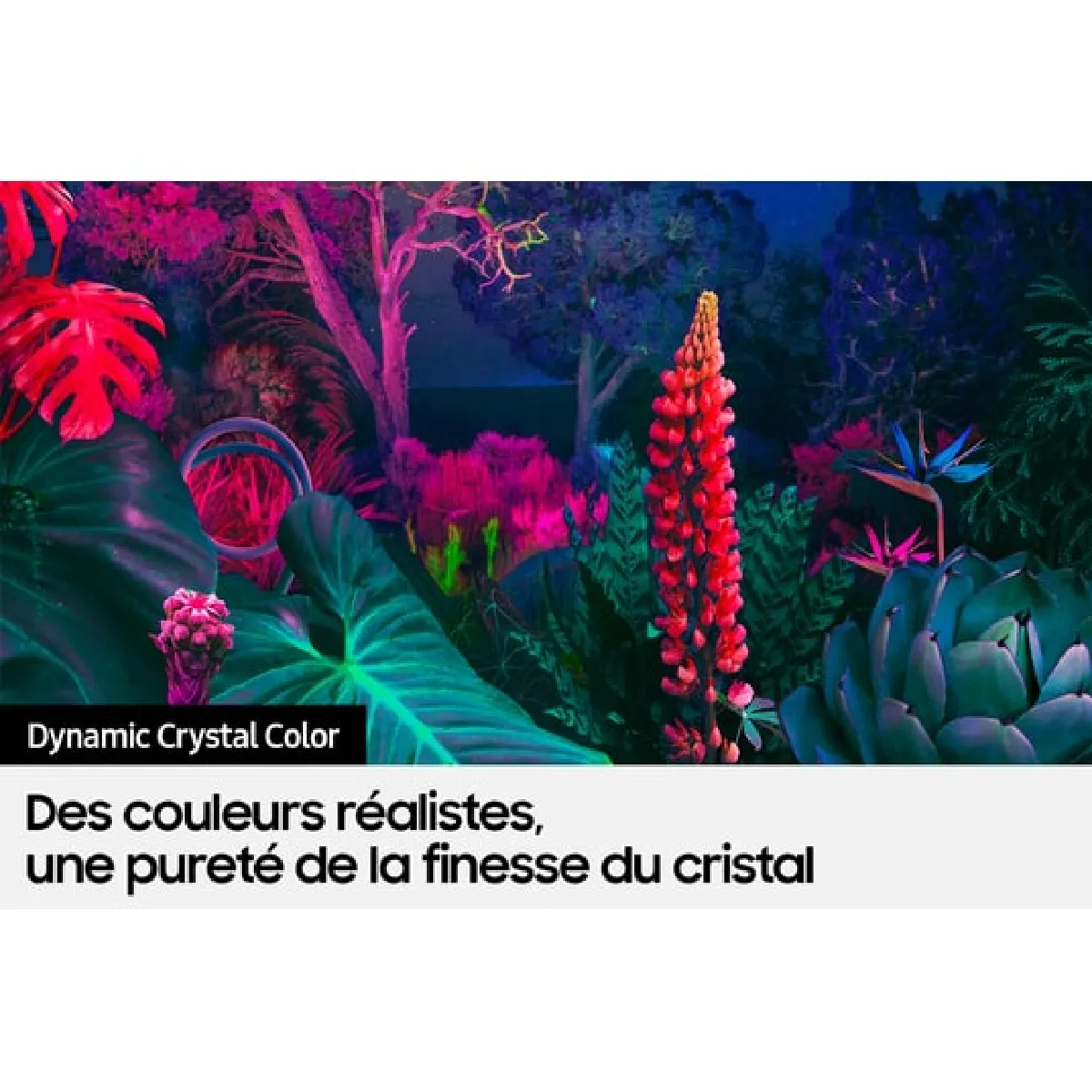 Samsung 85CU8005 Crystal 2023