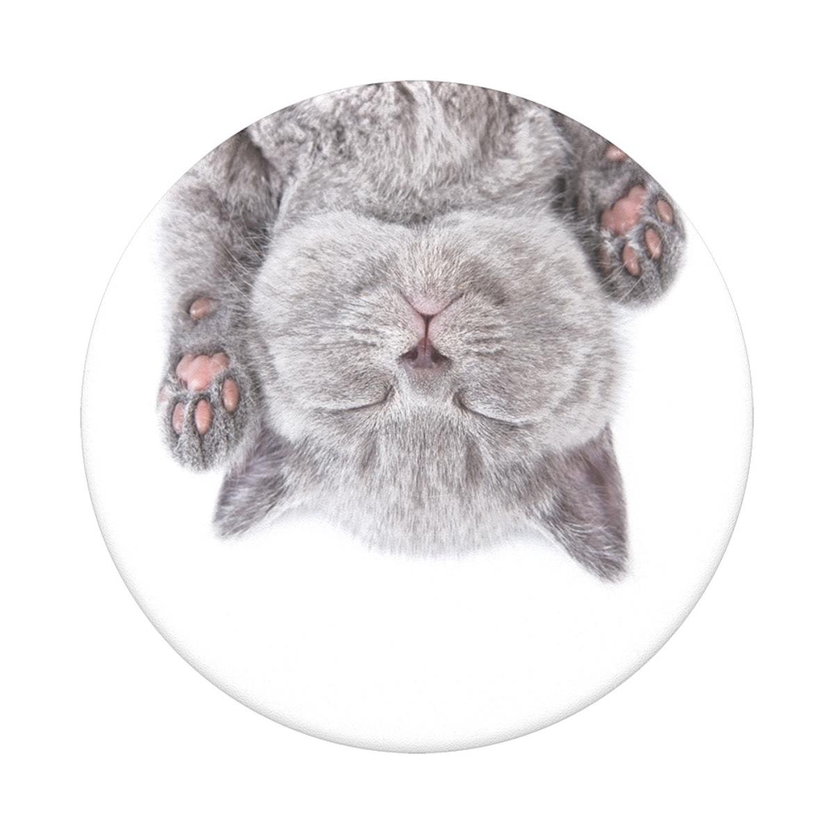 PopSockets PopSockets PG Cat Nap