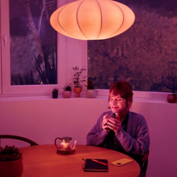 Philips WiZ Smart peerlamp mat E27 100W color Wi-Fi dimbaar