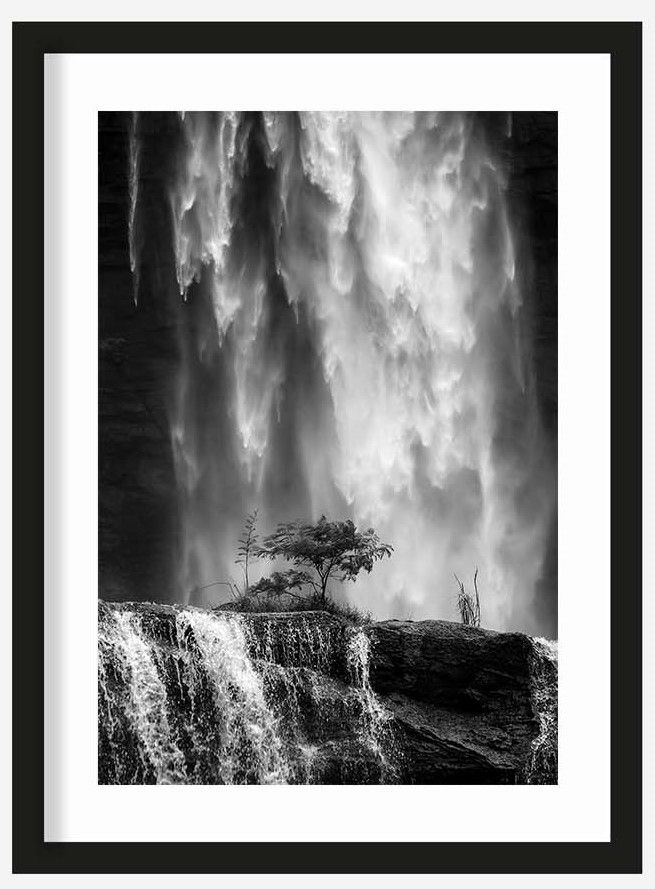 Art Print Germinate